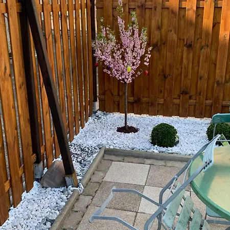 Schroeder's موتيل