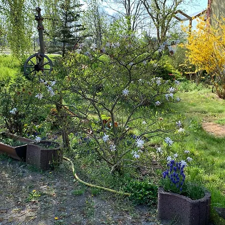 Schroeder's Beilrode