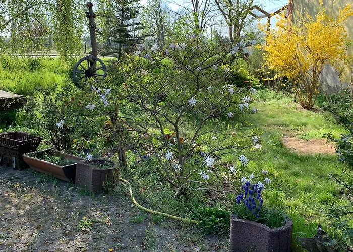 Schroeder's Beilrode