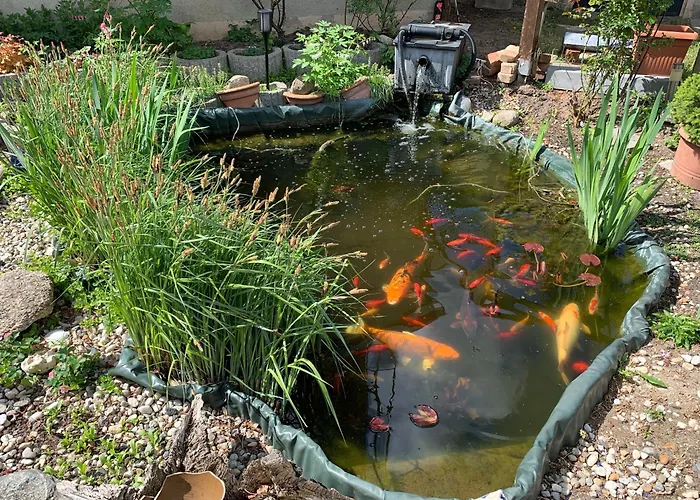 Schroeder's * Beilrode